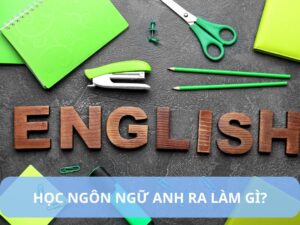 học ngôn ngữ anh ra làm gì