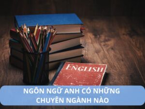 Ngôn ngữ anh có những chuyên ngành nào